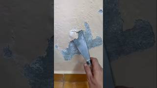 Paint Peeling Got You Down Try This Easy Fix [upl. by Corny]