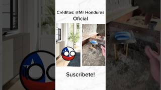 Como Cuidar A Tu Countrypet 🇨🇱 Chile countryballs countrypets chile [upl. by Atteroc]