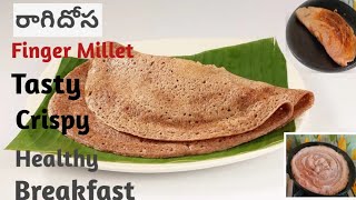 Healthy Ragi Dosa  Instant Ragi Dosa  Indian Finger Millet Dosa  Tasty 😋 Crispy Dosa vlogfood [upl. by Assyla609]