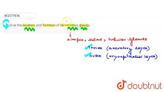 Give the location and function of ceruminous glands  CLASS 11  NEURAL CONTROL AND COORDINATIO [upl. by Jona]