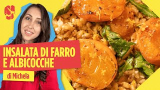 Insalata di farro con albicocche grigliate  CinC [upl. by Areit789]