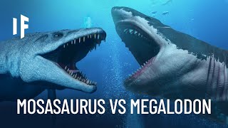 What If the Megalodon Shark Fought the Mosasaurus [upl. by Attenahs]