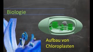 Aufbau von Chloroplasten [upl. by Atile993]