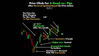 Good Entry chartpatterns  Trading  Price Action I Forex  Crypto  Technical Analysis  shorts [upl. by Vanna]