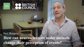 Cognitive Neuroscience — Neil Burgess [upl. by Oech]