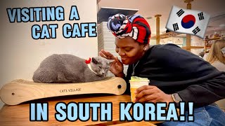 SEOUL VLOG A cat lover’s dream [upl. by Kisung]