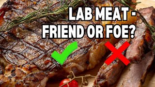 Vegan Dilemma Should Vegans Embrace Lab Meat [upl. by Beckerman]