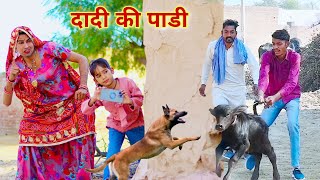 दादी की पाडी  dadi ki padi  rajasthani haryanvi comedy  dhokali dadi  official ‎RsVerma [upl. by Oglesby]