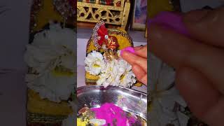 lalla ki holi😍🥰 laddugopal laddugopalshortvideo [upl. by Web]