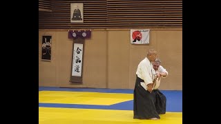 yamashima sensei à Nogent sur marne [upl. by Oiramed]