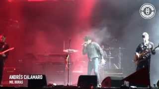 Andrés Calamaro en vivo tocando quotMil Horasquot en el festival Pal Norte 2014 [upl. by Rudwik523]