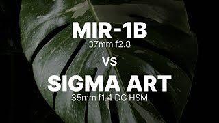 MIR 1B 37mm f28 vs SIGMA 35mm f14 DG HSM ART [upl. by Nnyleitak]