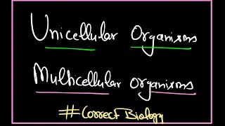 Unicellular and Multicellular Organisms biology neet2025 neet [upl. by Dulce]