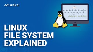 Linux File System Explained  Linux File System Overview  Edureka [upl. by Llamaj396]