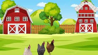 Hen cartoon video [upl. by Nniuqal]