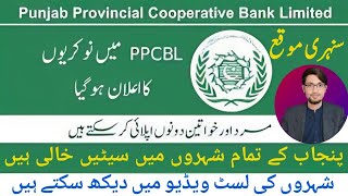 Punjab provincial cooperative Banks announced OGIII jobs  Bank jobs Imran Khan Jobs [upl. by Dahsraf]