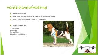 Vorschau dogibox Webinar quotFunktionelle Anatomiequot mit Carmen Heritier [upl. by Sandeep906]