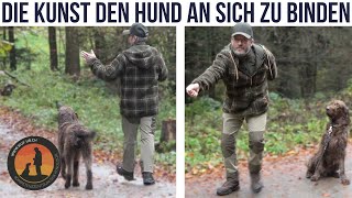 Leinenführigkeit bzw Hund am Fuss ohne Leineneinsatz  Hundeschule UB [upl. by Emanuela298]