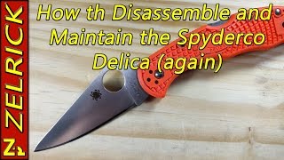 How to Disassemble and Maintain The Spyderco Delica Again [upl. by Gena92]