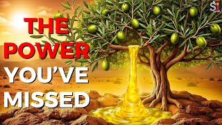 The Spiritual Secret of the Olive Tree Never Before Revealed [upl. by Rainwater293]