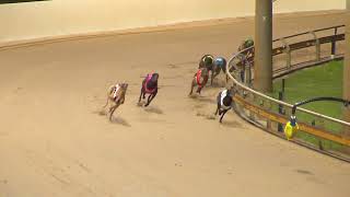 Rockhampton06112024Race5 [upl. by Darraj444]