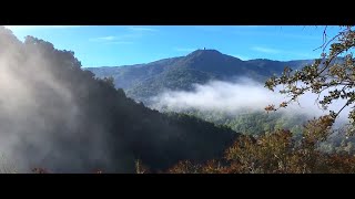 Fog Rolling Through At Mine Hill Trail Almaden Quicksilver Dec 4 2023 [upl. by Ioyal743]