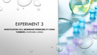 LAB EXPERIMENT 3  INVESTIGATING CELL MEMBRANE PERMEABILITY USING TURMERIC CURCUMA LONG [upl. by Pulchi61]