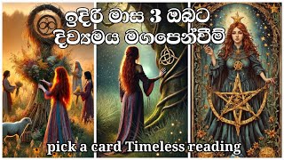 ඉදිරි මාස 3 ඔබ‍ට කොහොමද  pick a card  Timeless reading [upl. by Lia]