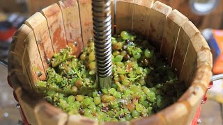 Making a White Wine from Grapes [upl. by Eahsal946]