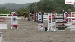 Connollys RED MILLS Munster 135 Grand Prix 2024 Live from Maryville Stables [upl. by Xever]