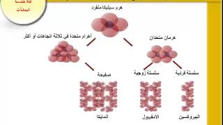 انواع المعادن في الطبيعة [upl. by Linson347]