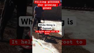 Soil tilling process using gypsum lawn landscaping lawncare grass viral youtubeshorts diy [upl. by Aisatsanna853]