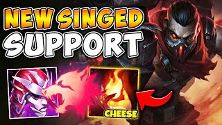 I INVENTED A BROKEN SINGED SUPPORT STRATEGY THIS IS SO BEYOND CHEESE [upl. by Linell911]