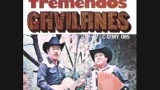 infamia los tremendos gavilanes [upl. by Auqemahs]