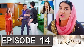 Tark E Wafa Episode 14 Promo  Tark E Wafa Episode 13 Review  Tark E Wafa Episode 14 Teaser [upl. by Fernald]