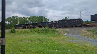 A DO NOT HUMP Boxcar Back in Wellington on Intermodal [upl. by Zerdna]