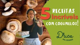 5 receitas com Cogumelo  Drica na Cozinha [upl. by Hardman]