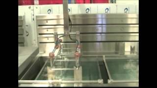 Miraclean Dual Hoist Passivation Line [upl. by Pantheas]