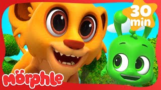 Superhero Morphle Vs Giant Animals  Mila and Morphle Cartoons  Morphle vs Orphle  Kids TV Videos [upl. by Aseen242]