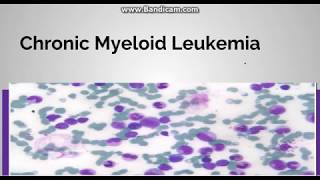 Chronic myeloid leukemia Pathogenesis Staging and periheral blood findings [upl. by Petula]