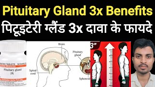 Pituitary Gland 3x homeopathic medicine in hindi [upl. by Rahab911]