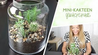 MiniKakteen Terrarium DIY [upl. by Kynthia]