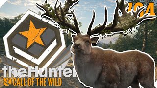 GREAT ONE ROTHIRSCH Unfassbare Jagd  theHunter Call of the Wild  PantoffelPlays [upl. by Ueih]