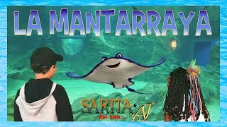 💧quotLas Mantarrayasquot 🌊 y sus características 👧🏽👦🏻Sarita amp AJ Así son [upl. by Levey713]