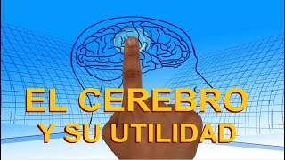 ¿Qué es el Cerebro y para qué nos sirve [upl. by Nosila]