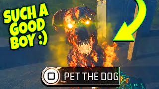 How to get a POWERFUL HELLHOUND PET Doghouse Locations MW3 Zombies [upl. by Cleary]