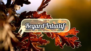 1111  🔮🍂 Regard Intuitif 🍂🔮©2024 [upl. by Nina]