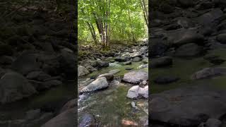 Kelsey Creek September 9 2024 Video 2 shorts [upl. by Nnyleitak904]