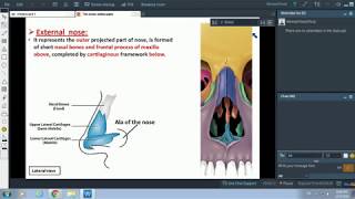 Anatomy of the Nose  Dr Ahmed Farid [upl. by Amikan]