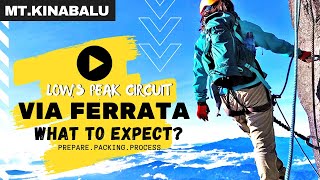 Mount Kinabalu Via Ferrata Lows Peak Circuit 2020  WHAT TO EXPECT Prepare  Packing  Process [upl. by Oirasec]